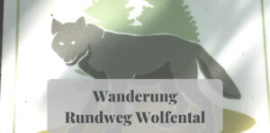 Read more about the article Wanderung Rundweg Wolfental