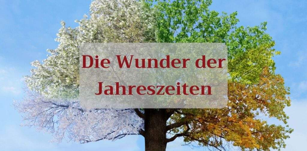 Die Wunder der Jahreszeiten