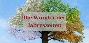 Read more about the article Die Wunder der Jahreszeiten