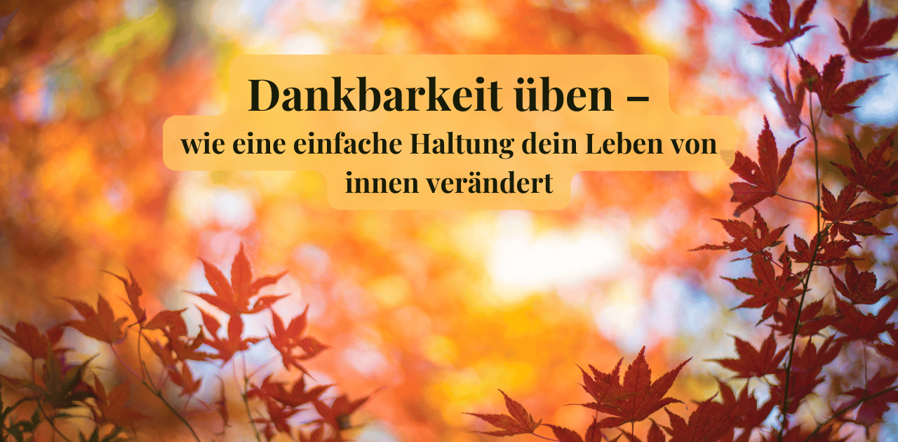 Du betrachtest gerade Dankbarkeit üben
