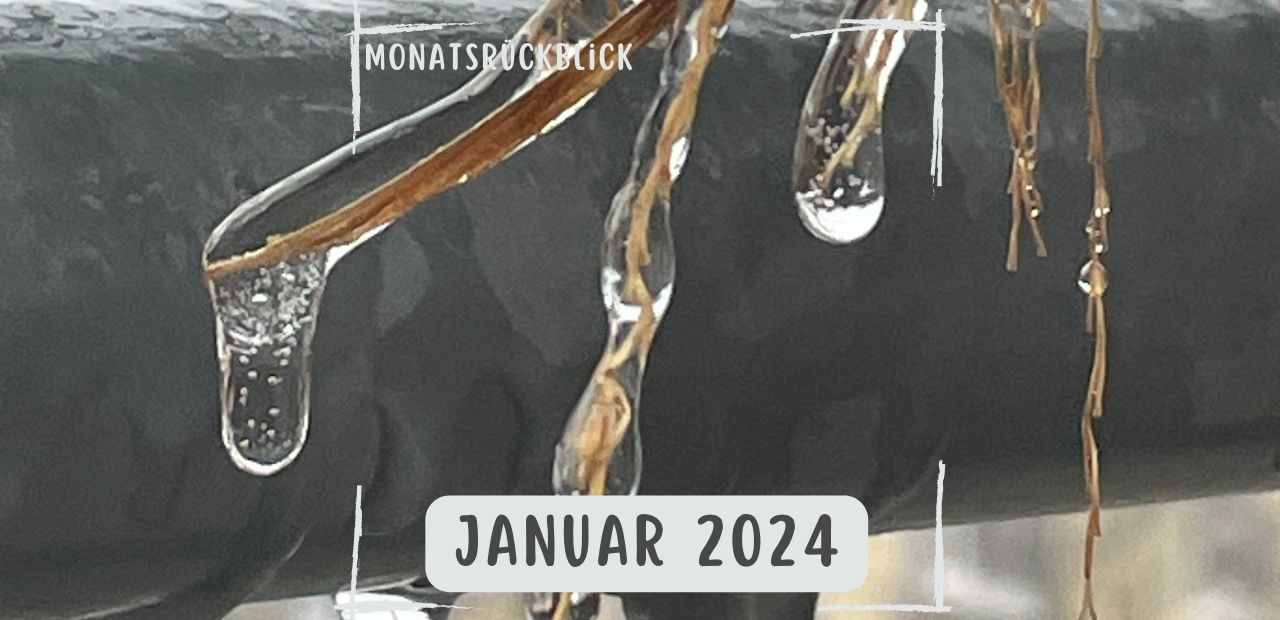 Monatsrückblick Januar 2024