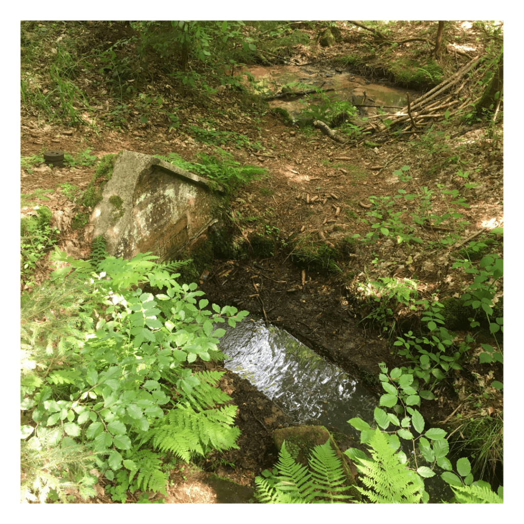 Den Schleipen-Brunnen besuche ich auch auf jeder Wanderung. So versteckt und verwunschen - da lässt es sich hervorragende Meditieren.