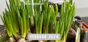 Read more about the article Monatsrückblick Februar 2024