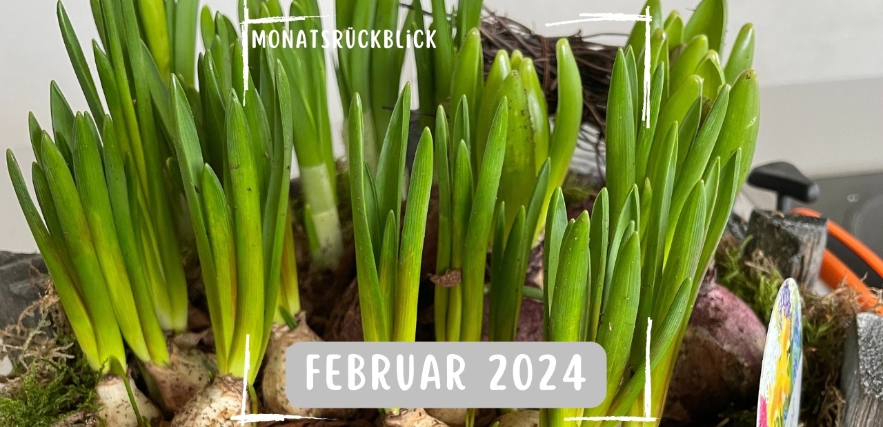 You are currently viewing Monatsrückblick Februar 2024