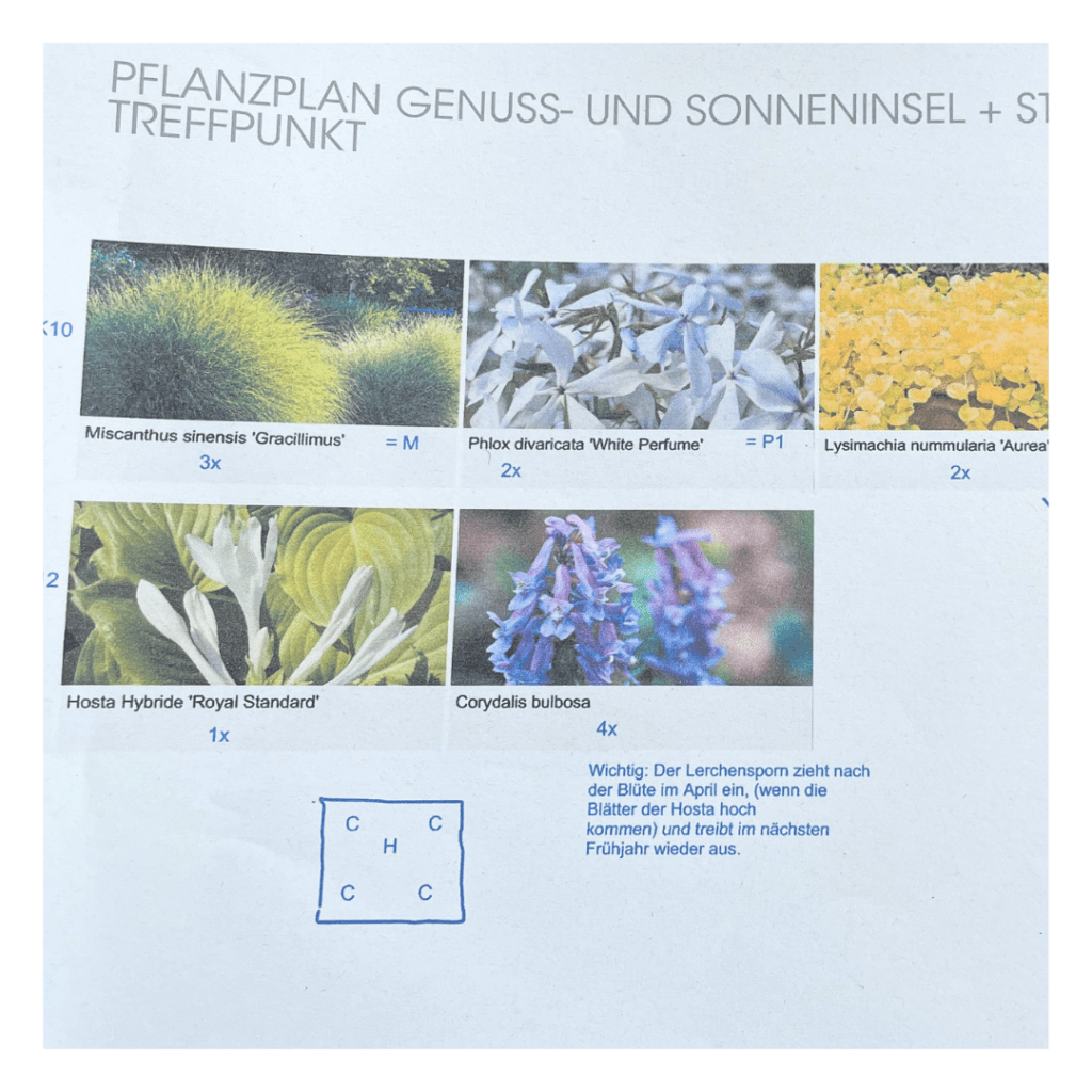 6/12 Pflanzplanung von flowerpowergarten.de