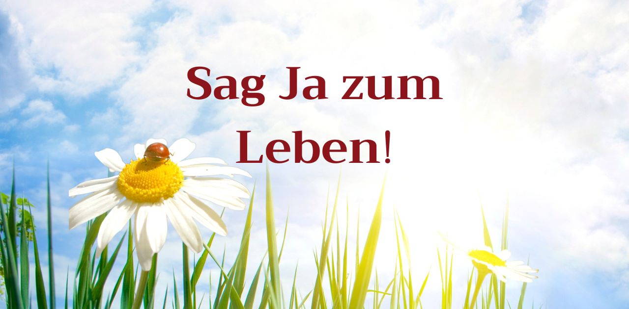 You are currently viewing Sag Ja zum Leben