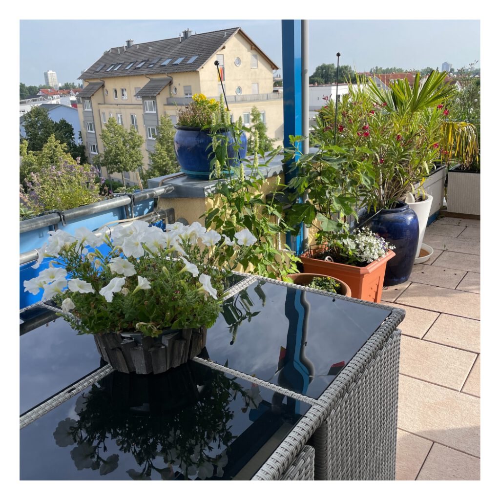 Blühende Terrasse 2