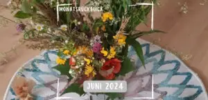 Mehr über den Artikel erfahren Monatsrückblick Juni 2024