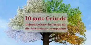 Mehr über den Artikel erfahren 10 gute Gründe, deinen Lebensrhythmus an die Jahreszeiten anzupassen