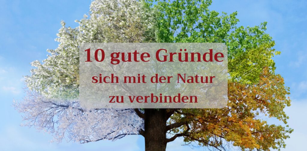 10 gute Gründe, sich mit der Natur zu verbinden