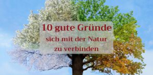 Mehr über den Artikel erfahren 10 gute Gründe, sich mit der Natur zu verbinden