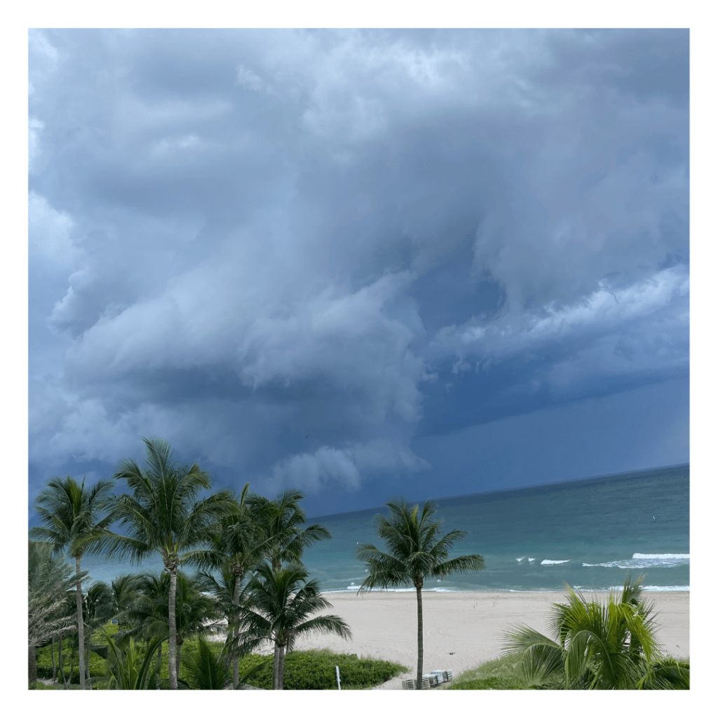 Bevor das Gewitter kam