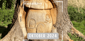 Mehr über den Artikel erfahren Monatsrückblick Oktober 2024