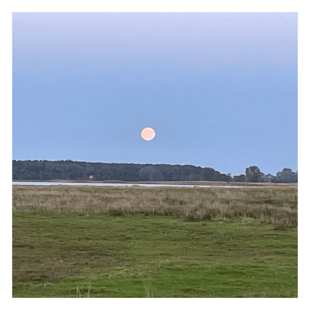 Wieder einen tollen Vollmond erwischt!