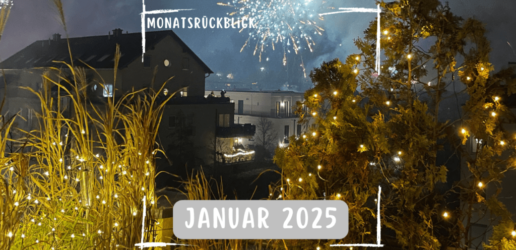 Monatsrückblick Januar 2025