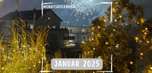 Mehr über den Artikel erfahren Monatsrückblick Januar 2025