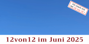 Mehr über den Artikel erfahren 12von12 im Juni 2025