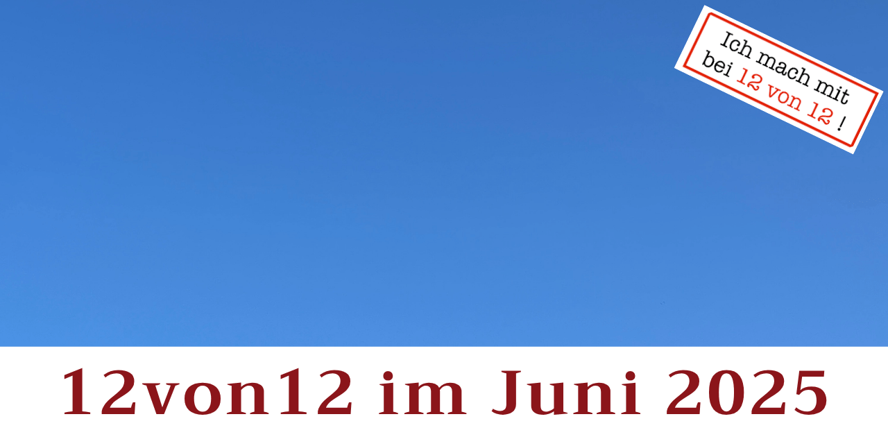 Du betrachtest gerade 12von12 im Juni 2025