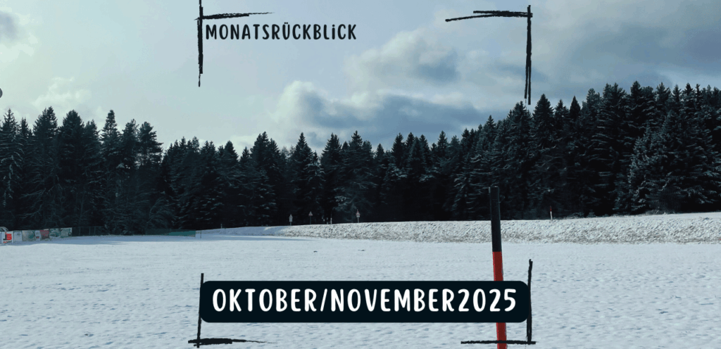 Monatsrückblick Oktober-November 2025