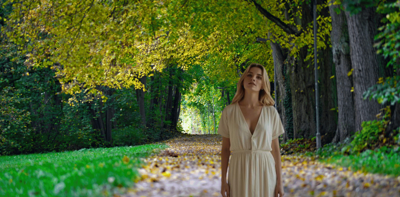 Du betrachtest gerade Die suchende Wolfsfrau